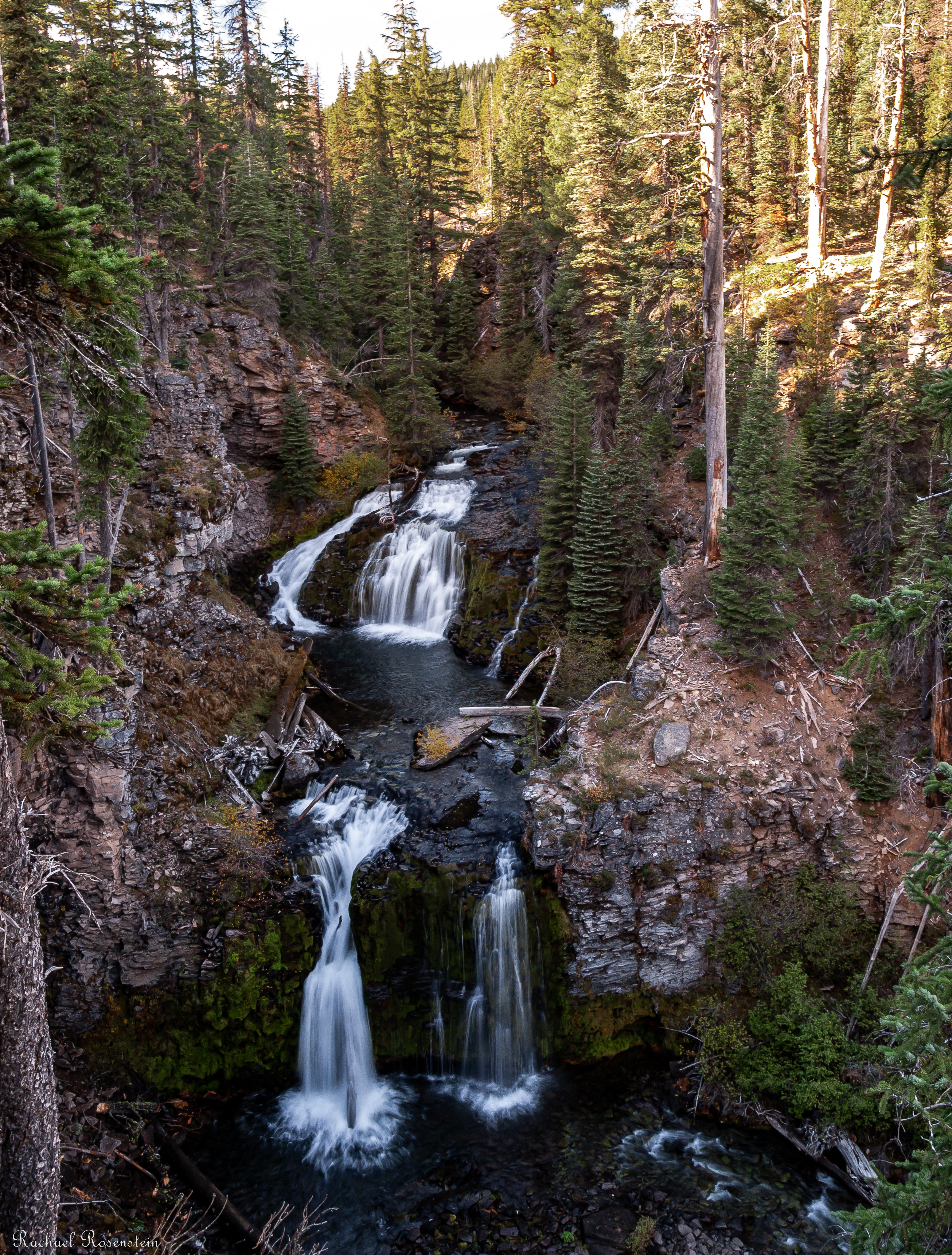 Picture by Rachael Rosenstein