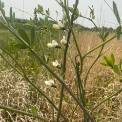 June 2023 Wisconsin (round&nbsp;1)