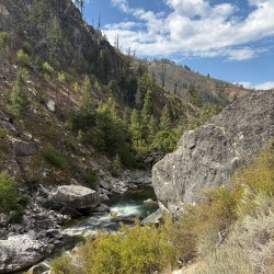 Day 6: The Bull Trout and Westslope Cutthroat
